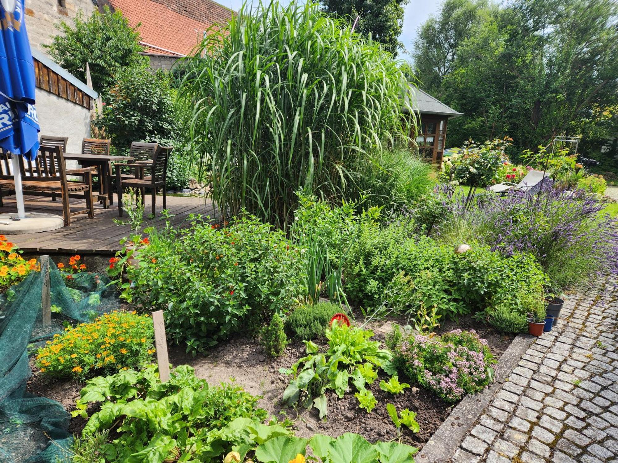 Familienfreundlich Im Naturpark Hassberge Mit Gehobener Gastronomie Kirchlauter Εξωτερικό φωτογραφία